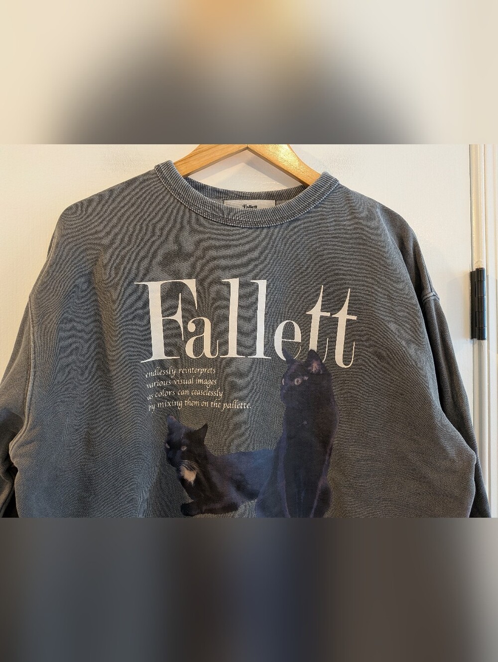Fallet Cat Deuce Nero Sweatshirt Pigment Charcoal Gray Oversized Korean Size S - Picture 3 of 16